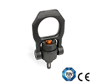 GN 1135-Threaded Lifting Pins